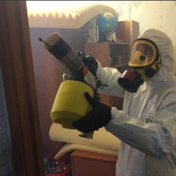 Уничтожение клопов в квартире. Калуга